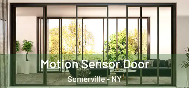  Motion Sensor Door Somerville - NY