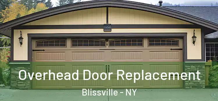  Overhead Door Replacement Blissville - NY