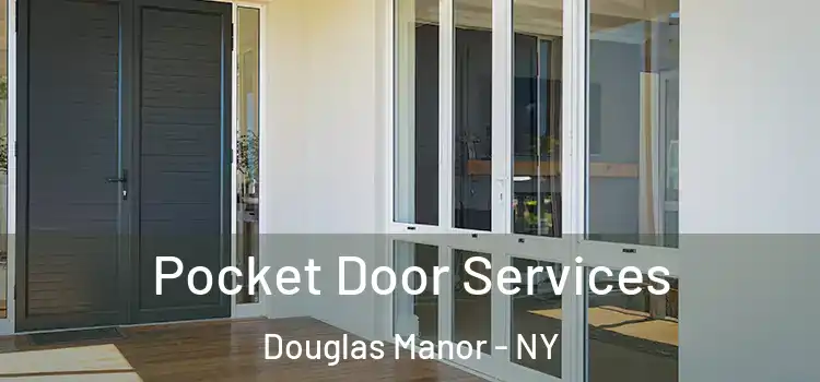 Pocket Door Services Douglas Manor - NY