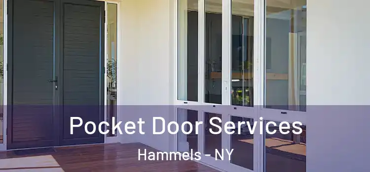  Pocket Door Services Hammels - NY