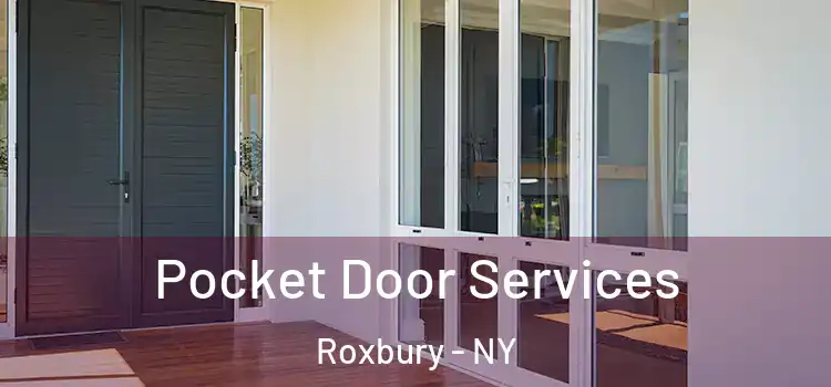 Pocket Door Services Roxbury - NY
