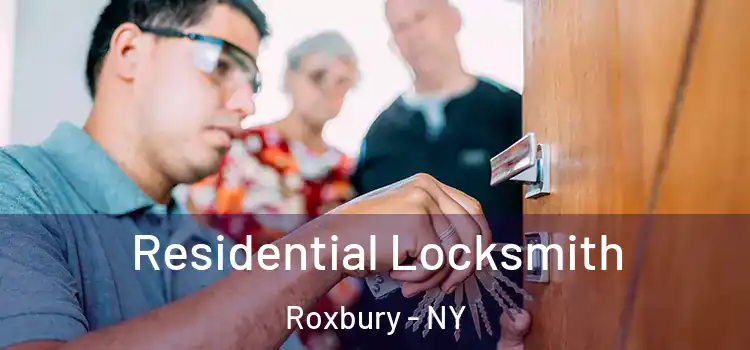 Residential Locksmith Roxbury - NY