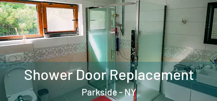  Shower Door Replacement Parkside - NY