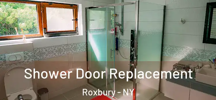Shower Door Replacement Roxbury - NY