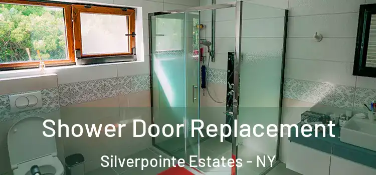 Shower Door Replacement Silverpointe Estates - NY