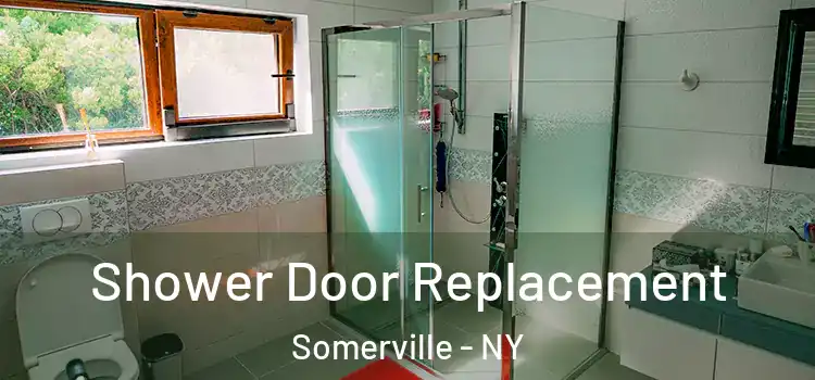  Shower Door Replacement Somerville - NY