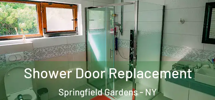 Shower Door Replacement Springfield Gardens - NY