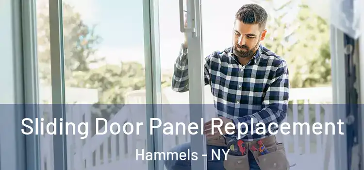  Sliding Door Panel Replacement Hammels - NY