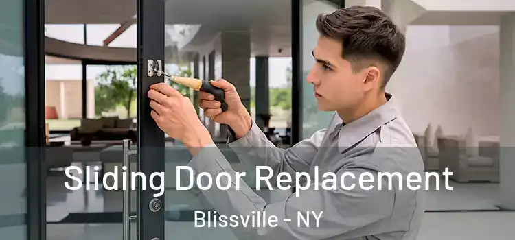 Sliding Door Replacement Blissville - NY