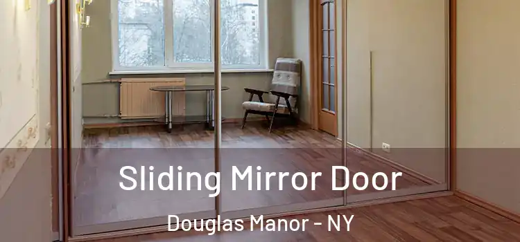  Sliding Mirror Door Douglas Manor - NY