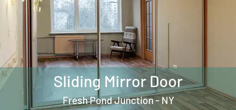  Sliding Mirror Door Fresh Pond Junction - NY