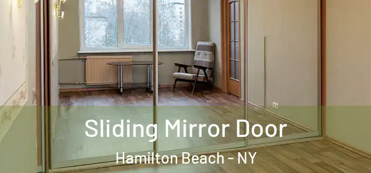  Sliding Mirror Door Hamilton Beach - NY