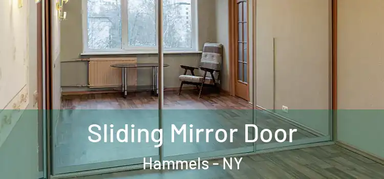  Sliding Mirror Door Hammels - NY
