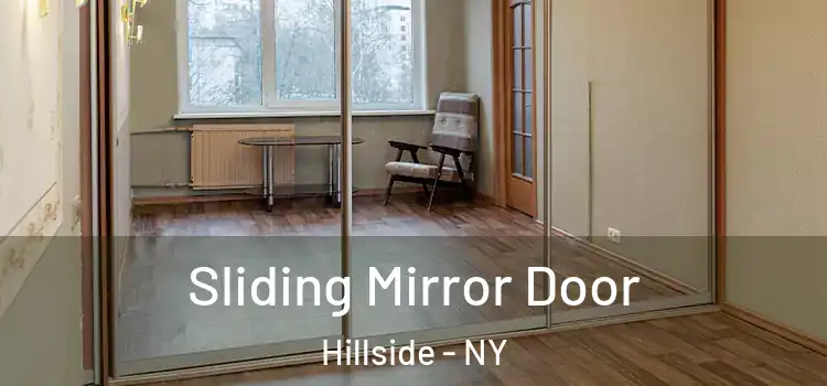  Sliding Mirror Door Hillside - NY