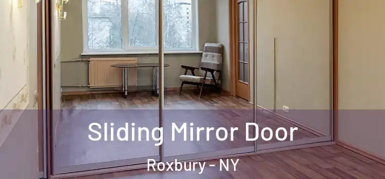  Sliding Mirror Door Roxbury - NY