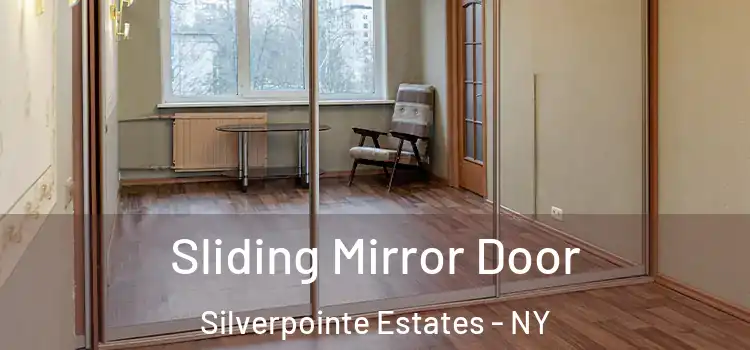  Sliding Mirror Door Silverpointe Estates - NY
