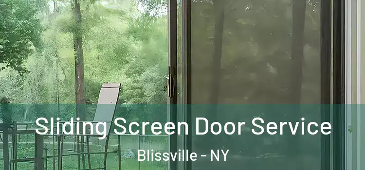 Sliding Screen Door Service Blissville - NY
