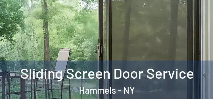  Sliding Screen Door Service Hammels - NY