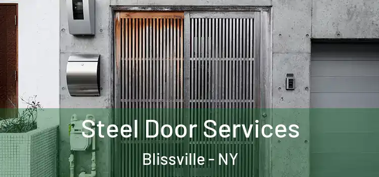  Steel Door Services Blissville - NY