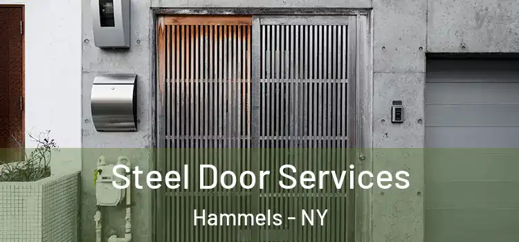  Steel Door Services Hammels - NY