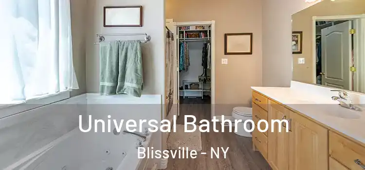 Universal Bathroom Blissville - NY