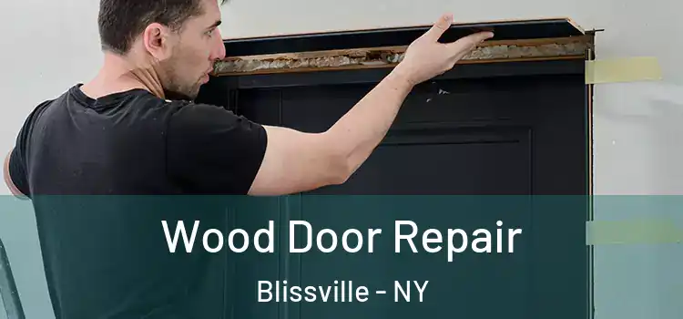Wood Door Repair Blissville - NY
