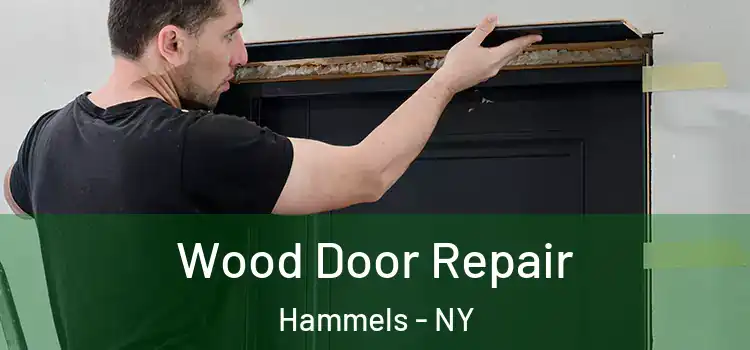 Wood Door Repair Hammels - NY