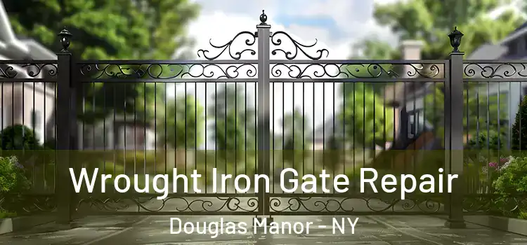 Wrought Iron Gate Repair Douglas Manor - NY
